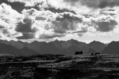 DSC03647-2
