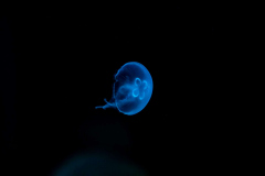 DSC09032