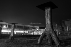 DSC09765