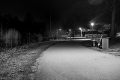 DSC09797_2