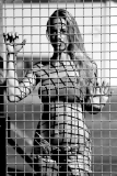 DSC06667